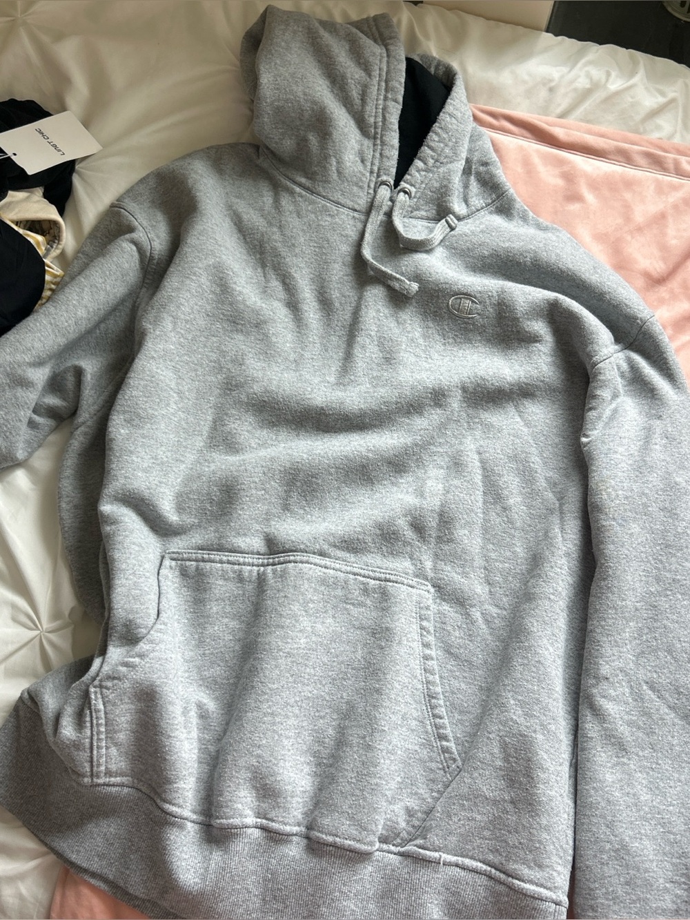 Champion hoodie